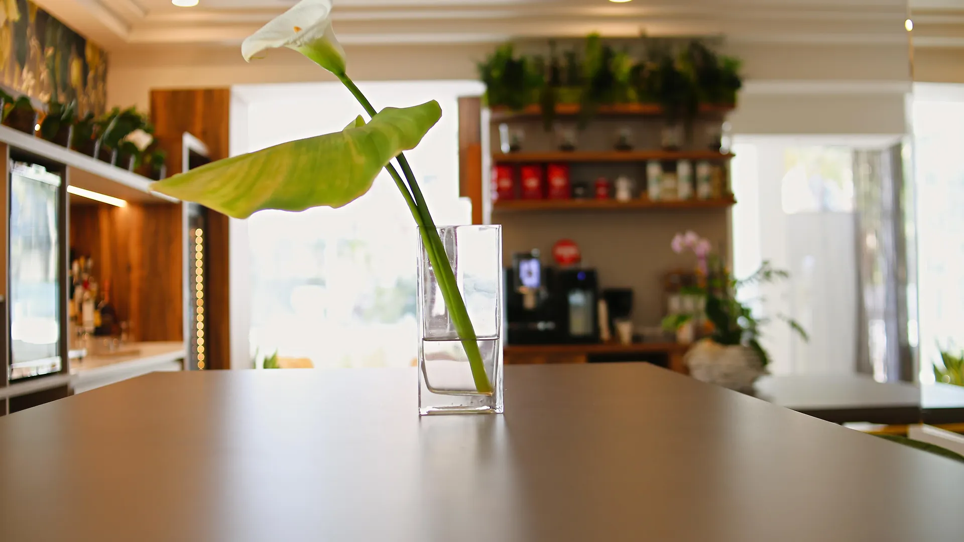 Hotel Select Suites & Spa - Apartments Riccione 4*,  Italy